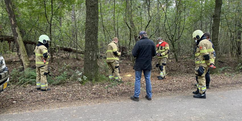 Hulpverleners zoeken Jack Russel
