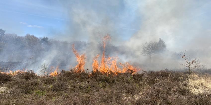 Hoge vlammen op Vughtseheide