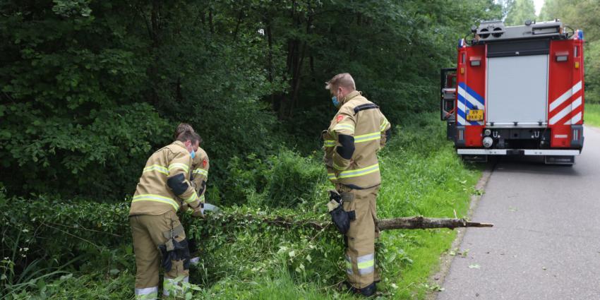 Brandweer zaagt boom