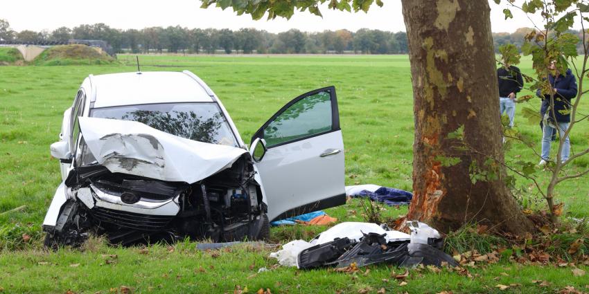 Auto botst frontaal op boom