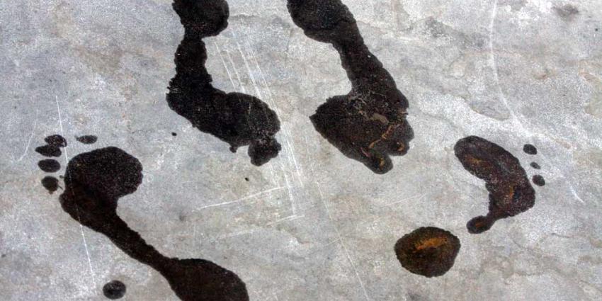 seks-voeten-zomer-nat