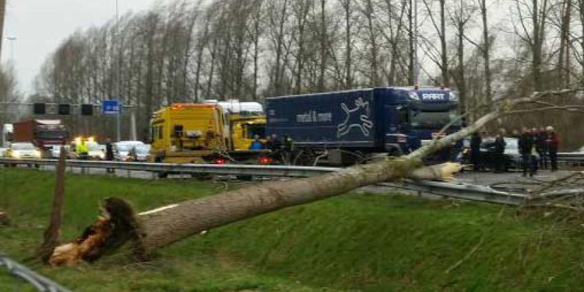 Verzekeraars schatten schade storm op 90 miljoen euro