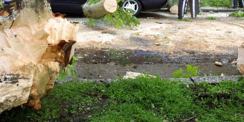 stormschade-auto-boom-brandweer