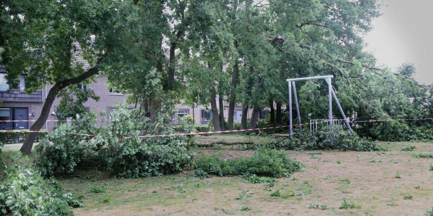 takken-storm-speeltuin