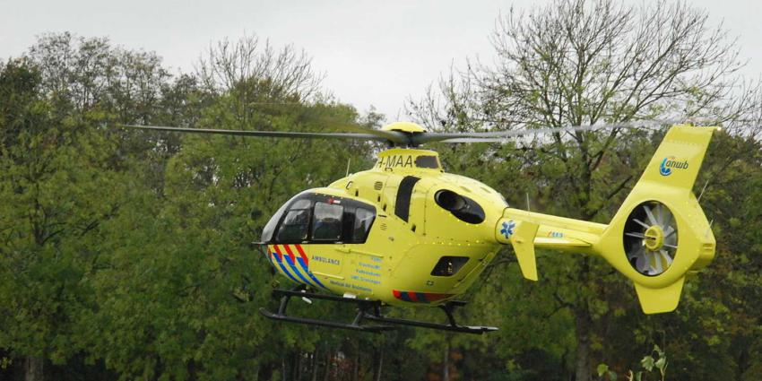 traumaheli-bos
