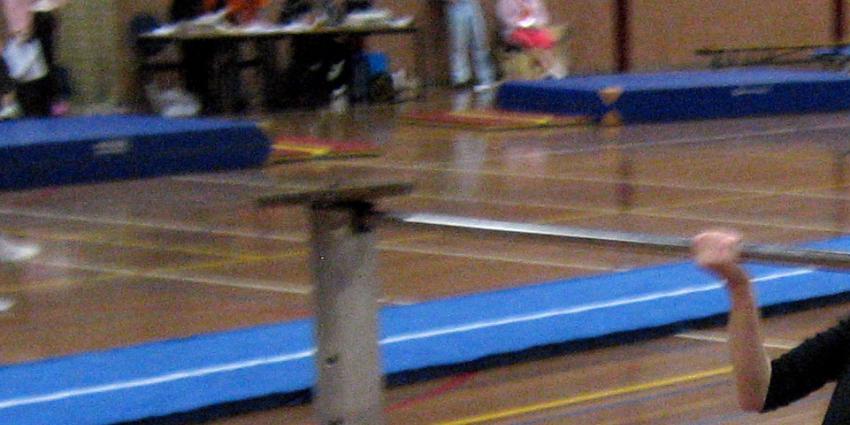 Nederlandse turners plaatsen zich voor WK in Glasgow