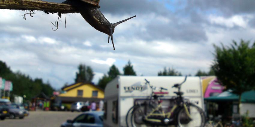 Internet gaat bij 90% vakantiegangers mee op vakantie