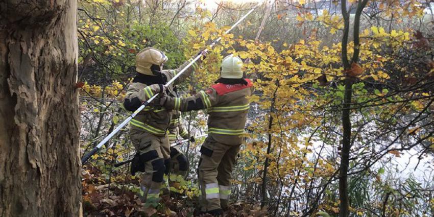 brandweer, bevrijden, vastzittende eend, boom