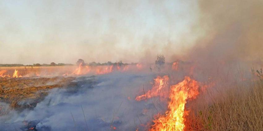 veenbrand-zwartemeer