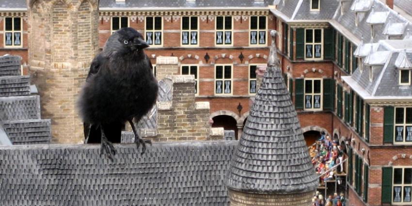 Vogelbescherming: help u ook mee tellen van vogels