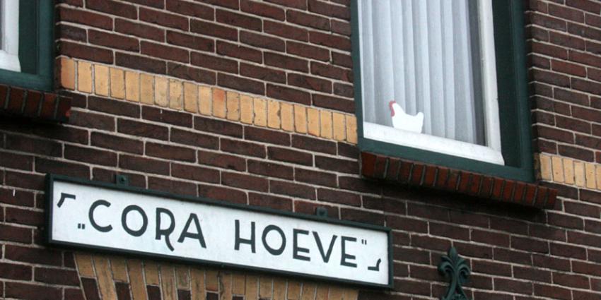 Vogelgriep vastgesteld bij een pluimveebedrijf in Ter Aar
