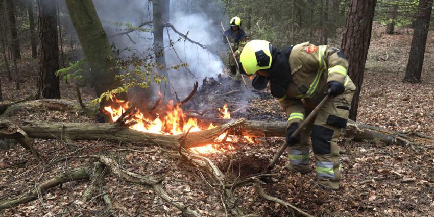 vuurzweep-bosbrand-brandweer