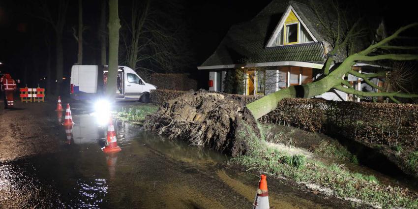 waterlekkage-boom-brandweer