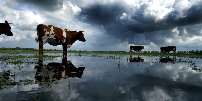 Extreme regenval veroorzaakt ruim tien miljoen euro schade