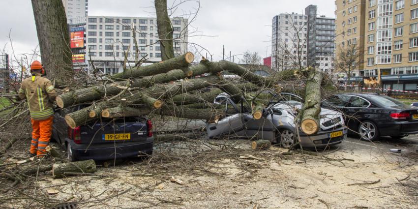 Bijna 500 stormmeldingen voor hulpdiensten