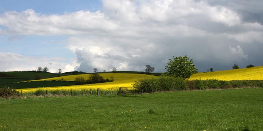 zacht winterweer | Sxc