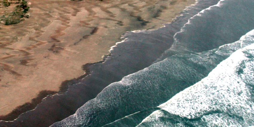 Doggersbank, Klaverbank en Friese Font aangewezen als zeereservaten