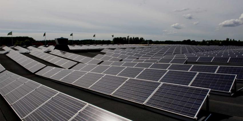 Maatregelen TenneT en Enexis vanwege extra groei zonneparken