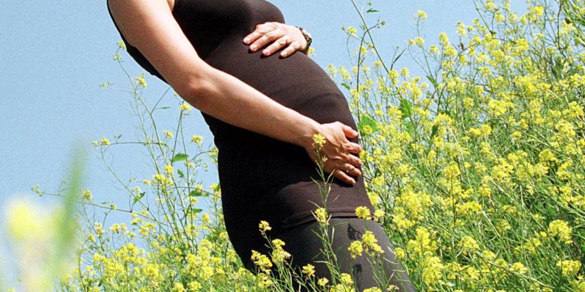 Verwant Portier Onweersbui Extra vitamine D voor zwangere vrouwen: huidige dosering vaak te laag |  Blik op nieuws