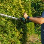 heg-snoeien-heggenschaar-tuin