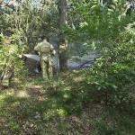 brandweermannen-blussen-bosbrand