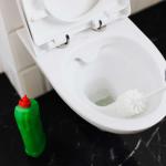 toilet-borstel-reinigen