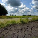 Neerslag blijft uit, gevolgen van droogte zichtbaarder