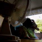 Foto van bejaarde verpleeghuis zorg | Archief EHF