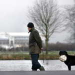 Foto van hond voetbal Arena Ajax | Archief EHF