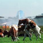 Boeren gaan Schiphol bezetten