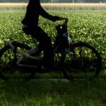 Vrouw op fiets
