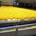  Meeste patat komt uit Nederland en België 