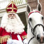 Foto van Sinterklaas op schimmel