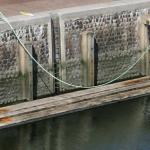 Automobiliste (84) raakt te water en overlijdt