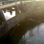 sluis-boot-water