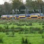 spoor-trein