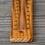 Thermometer