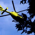 traumaheli-bomen
