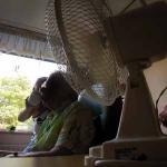 Foto van bejaarde verpleeghuis zorg | Archief EHF