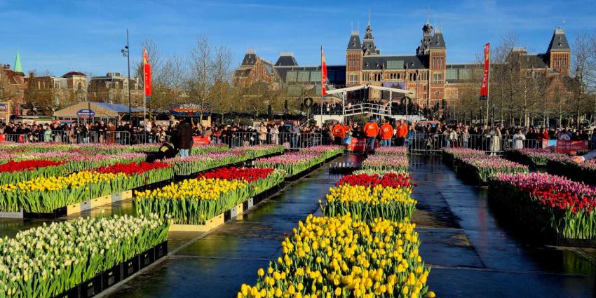tulpendag-museumplein