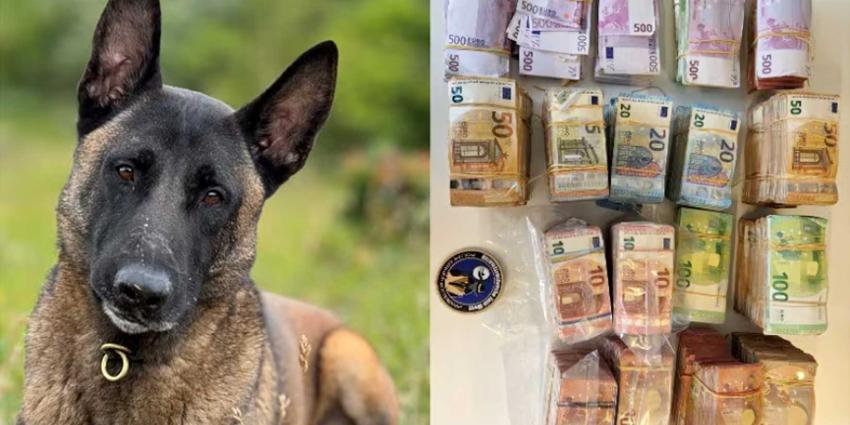 speurhond-Monster-bankbiljetten-witwassen
