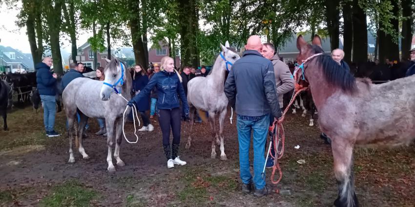 Zuidlaarderpaardenmarkt