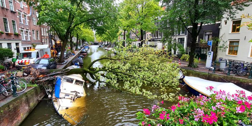 Omgewaaide boom zorgt voor veel schade