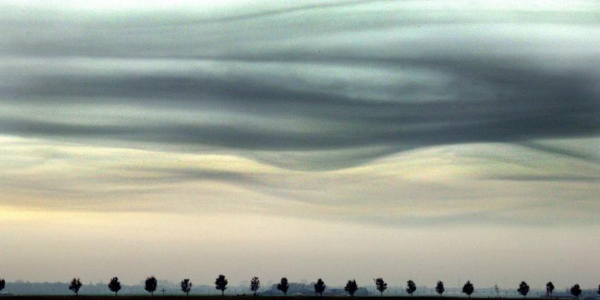 Ex-CIA-medewerker: aliens 'gebruiken de aarde als supermarkt'