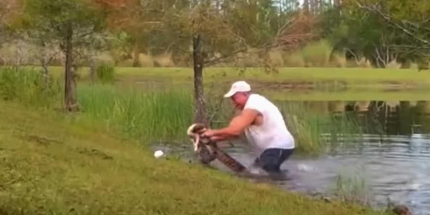 alligator-hond-redding