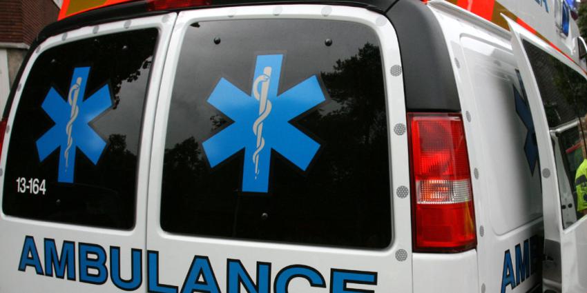 Openlijke geweldpleging in het Valkenberg park in Breda 