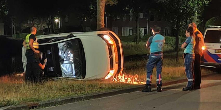 auto-zijkant-boom