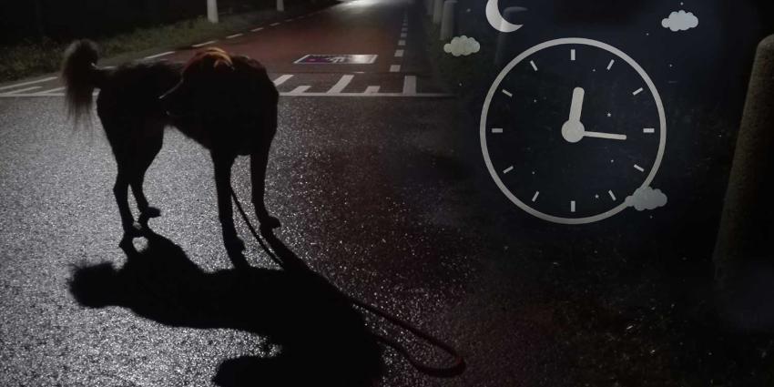 avondklok-hond-uitlaten-corona