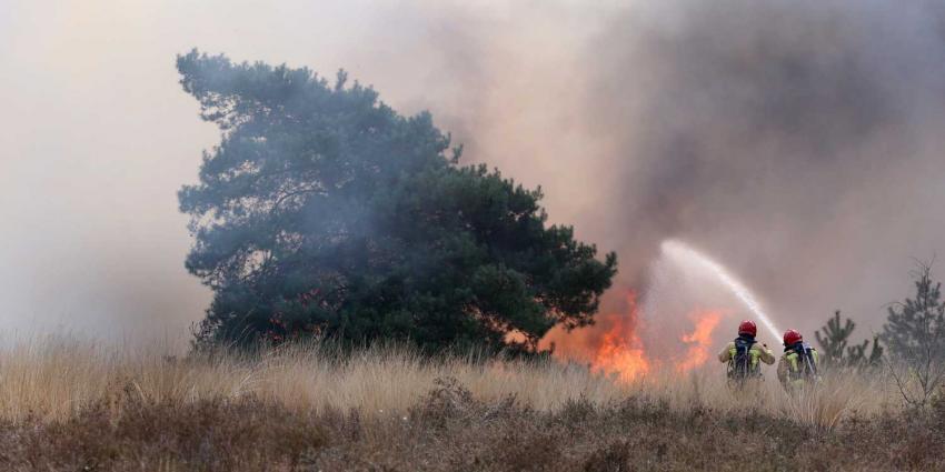 brand-heide-natuur