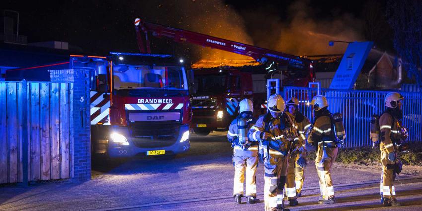 brand-loods